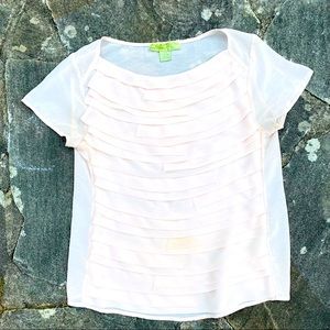 Blush Pink Chiffon Sheer Ruffled Blouse Top! ✨